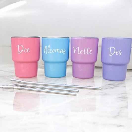 Mini Shot Tumbler with Lid and Straw – 3oz Double - Wall Stainless Steel for Parties, Travel & More - Embellish My Heart