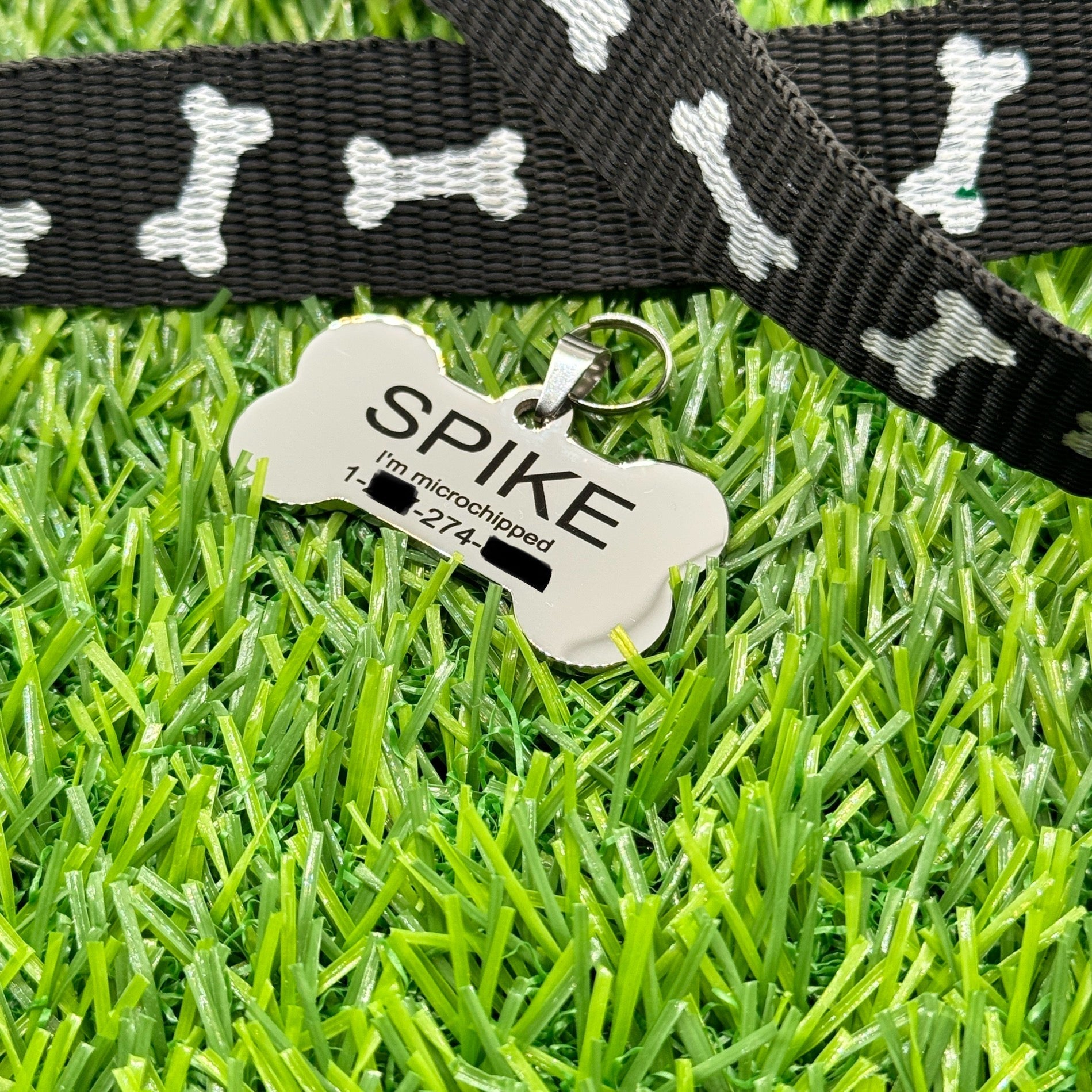 Dog Tag Pet ID Stainless Steel - Embellish My Heart