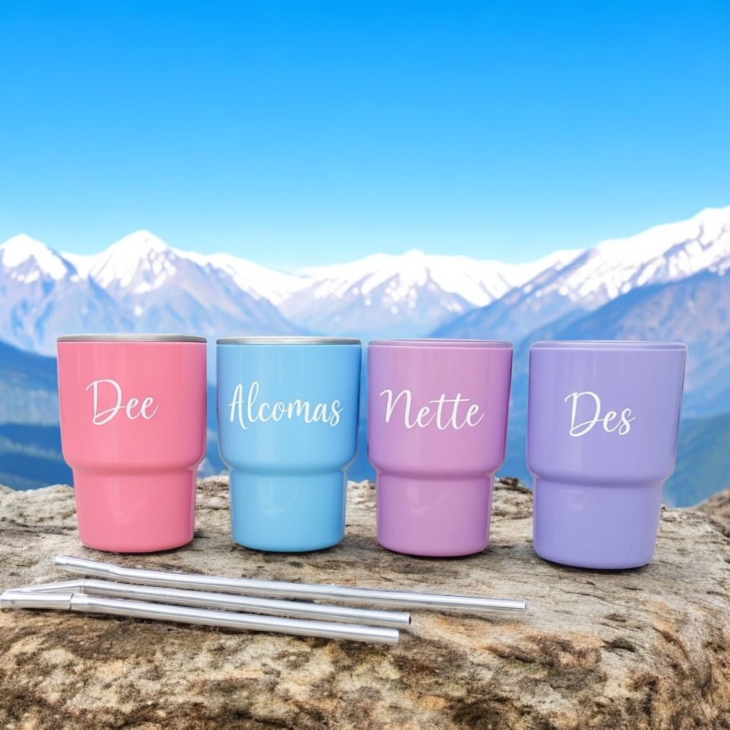 Mini Shot Tumbler with Lid and Straw – 3oz Double - Wall Stainless Steel for Parties, Travel & More - Embellish My Heart