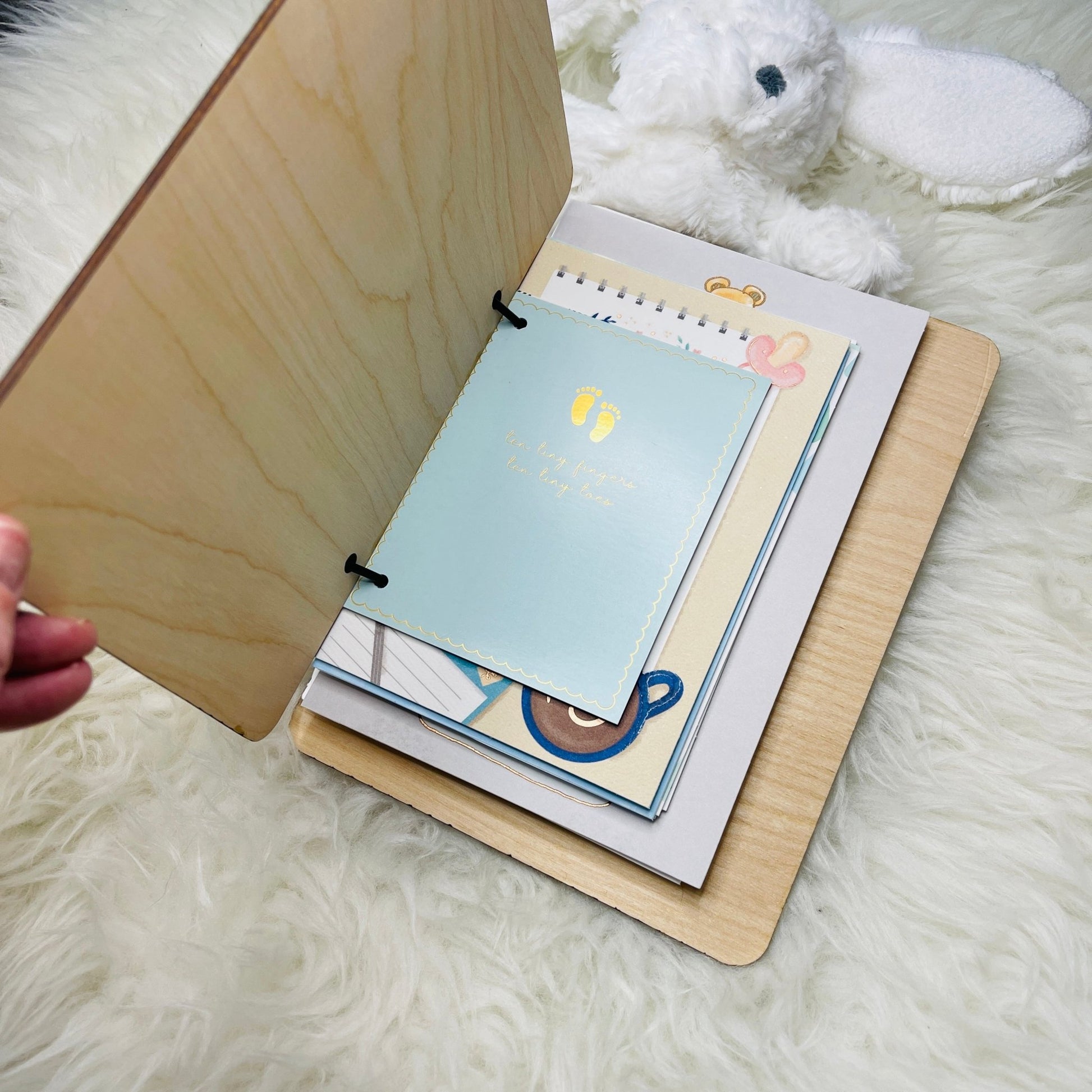 Baby Shower Card Keeper, Baby Card Holder, Baby Card Keepsake, Bay Shower Card Booklet, Card Organizer, Cards of Christmas Pa - Embellish My Heart